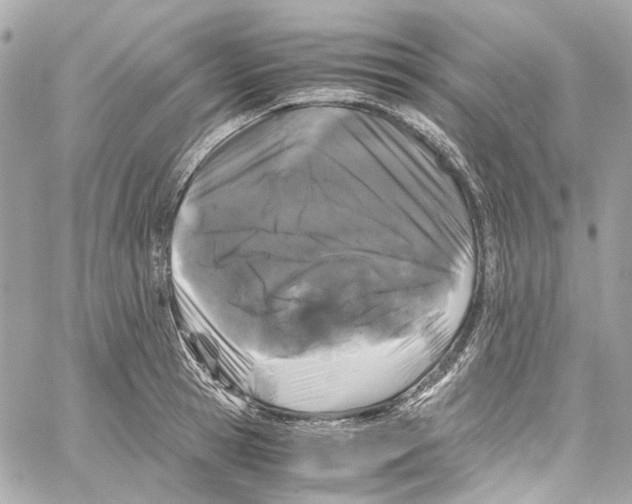 X0000059850945200511181535