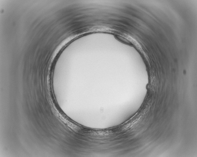 X0000059850947200511181535