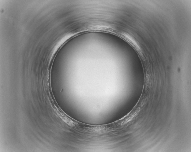 X0000059850948200511181535