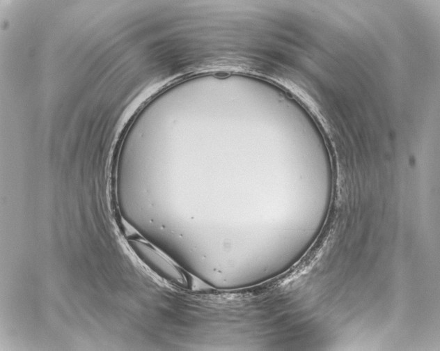 X0000059850949200511181535