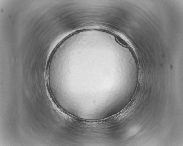 X0000059850951200511181535