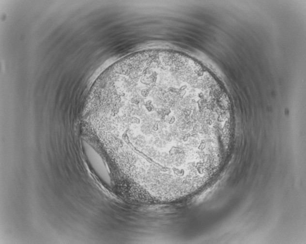 X0000059850953200511181535