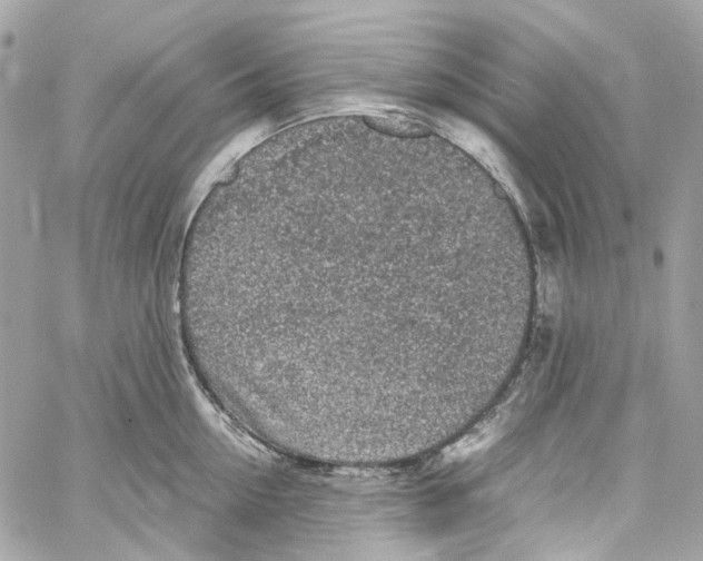 X0000059850954200511181535