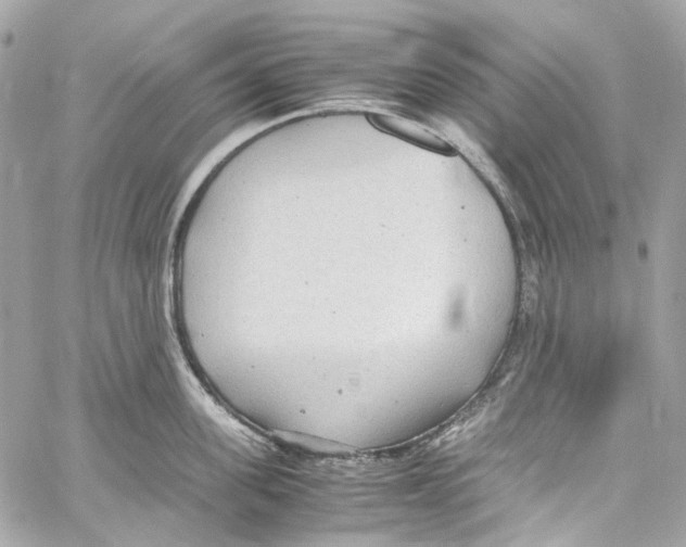 X0000059850955200511181535