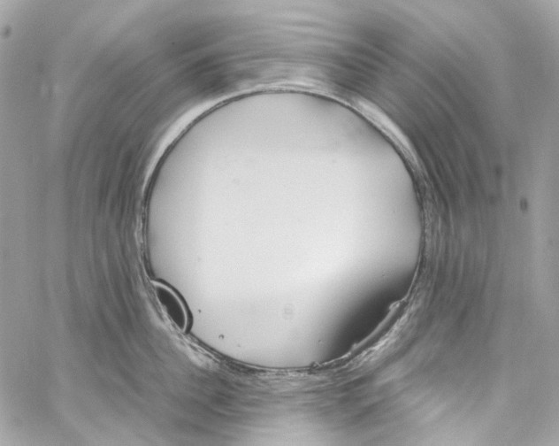 X0000059850956200511181535