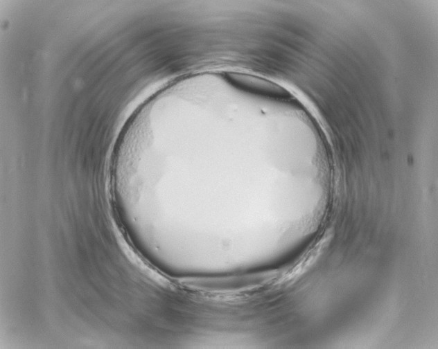 X0000059850957200511181535