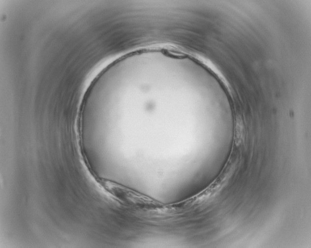 X0000059850959200511181535