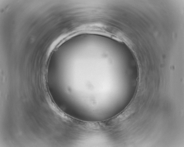 X0000059850960200511181535