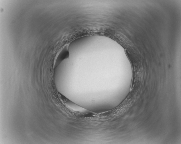 X0000059850961200511181534