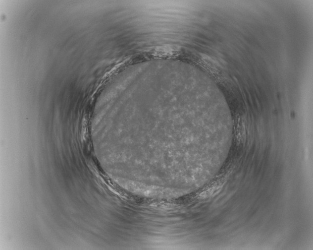 X0000059850962200511181534