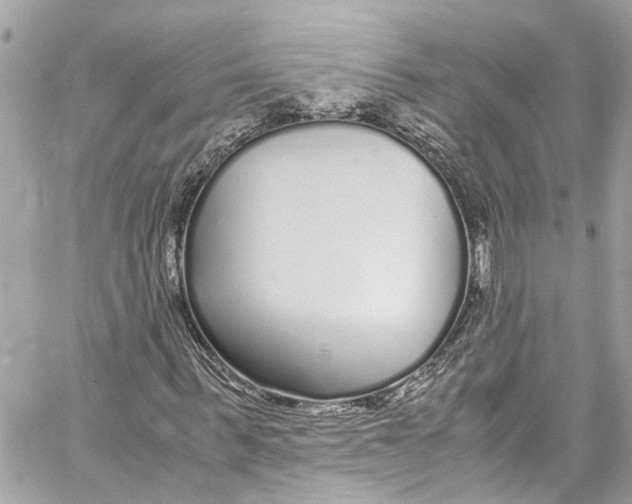 X0000059850963200511181534