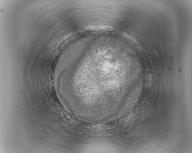 X0000059850966200511181534