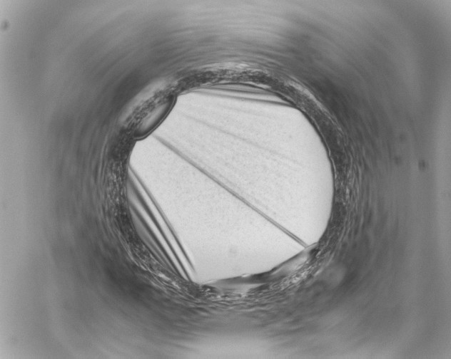 X0000059850967200511181534