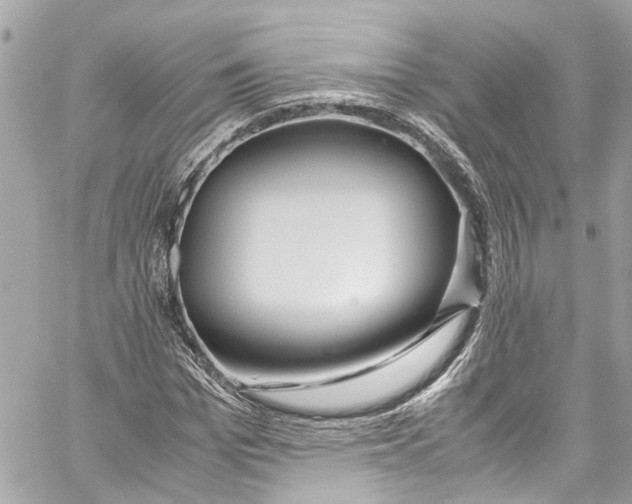 X0000059850969200511181534