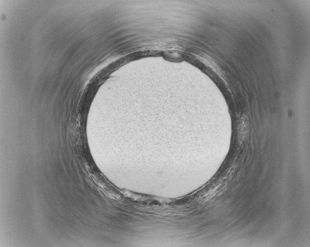 X0000059850971200511181534