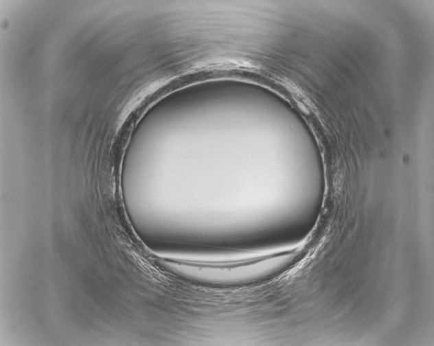 X0000059850973200511181534