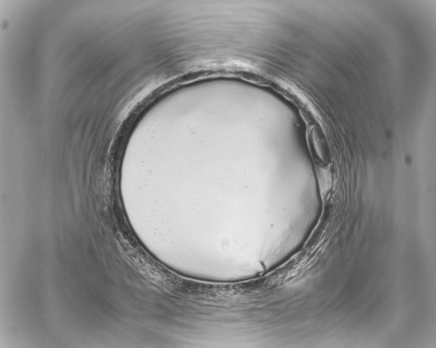 X0000059850975200511181534