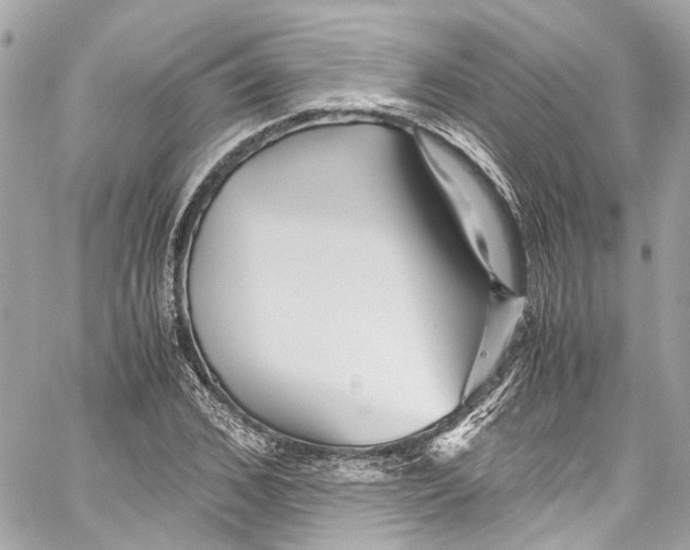 X0000059850976200511181534