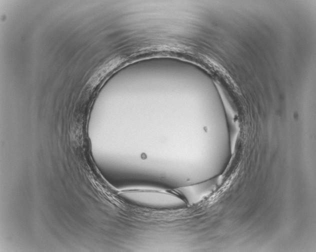 X0000059850977200511181534