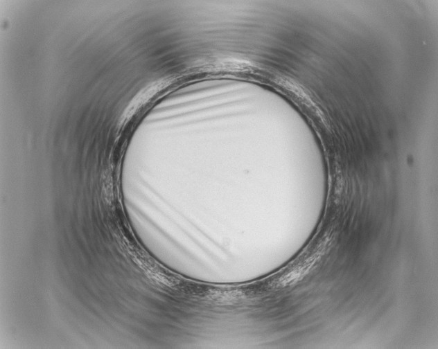 X0000059850978200511181534