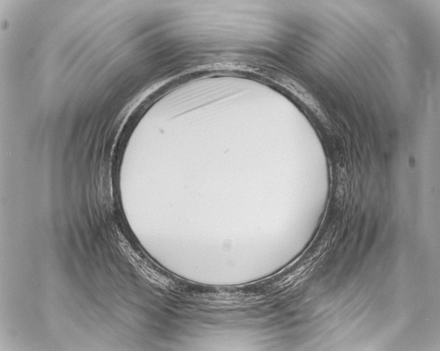 X0000059850980200511181534