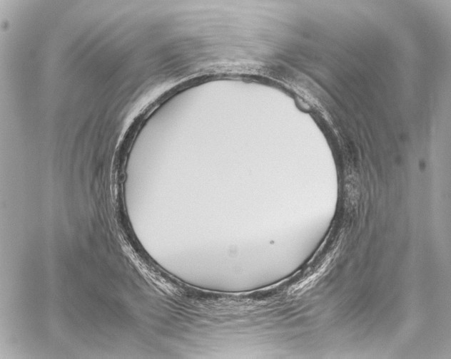 X0000059850981200511181534