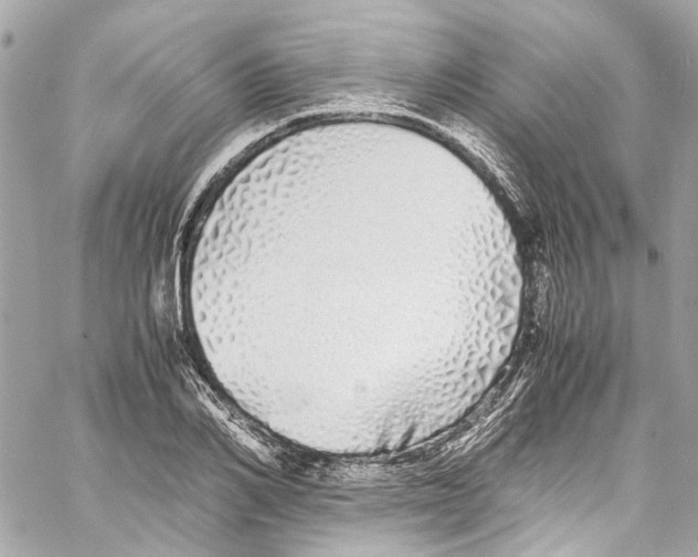 X0000059850982200511181534