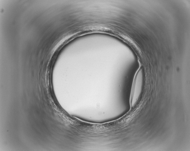 X0000059850983200511181534