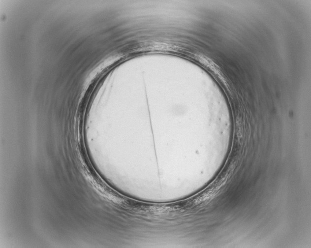 X0000059850987200511181534