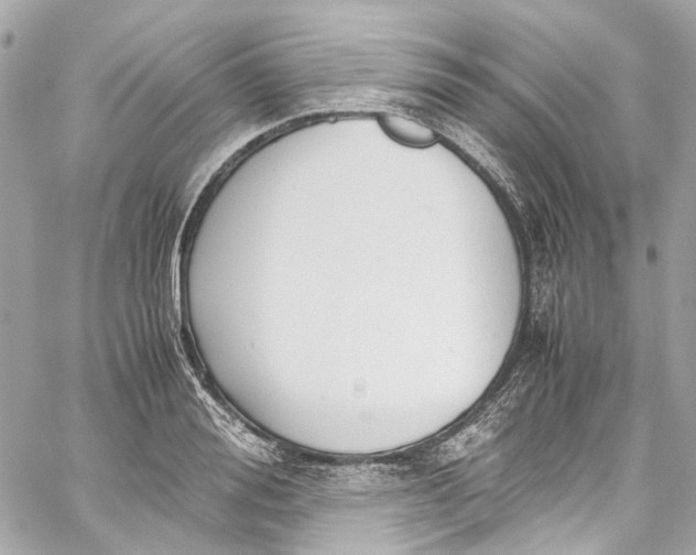 X0000059850988200511181534