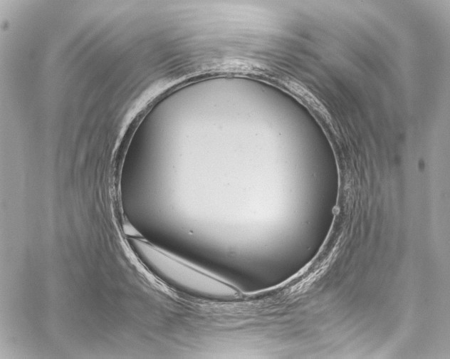 X0000059850989200511181534