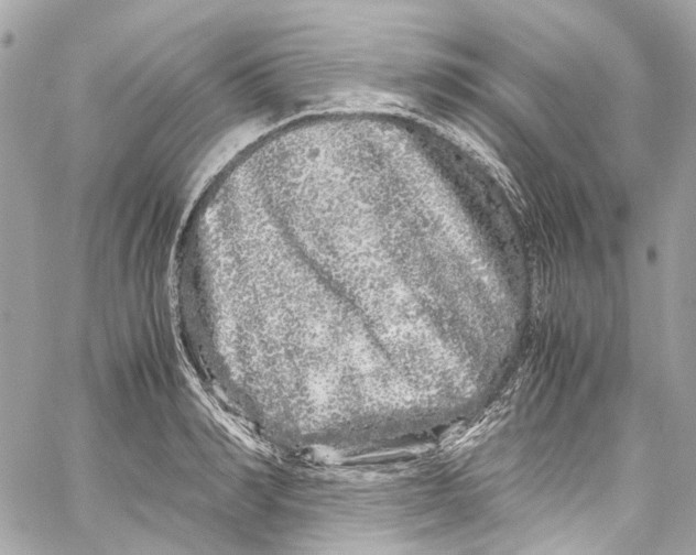 X0000059850990200511181534