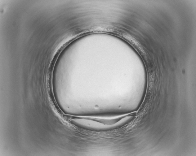 X0000059850991200511181534