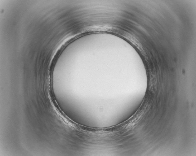 X0000059850992200511181534