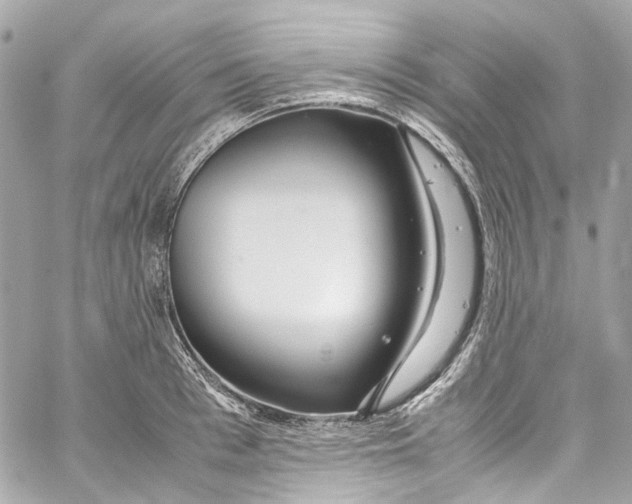 X0000059850993200511181534