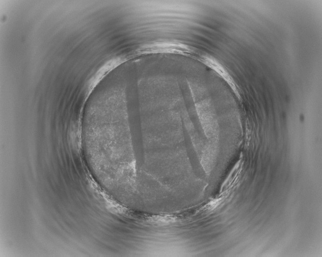 X0000059850994200511181534