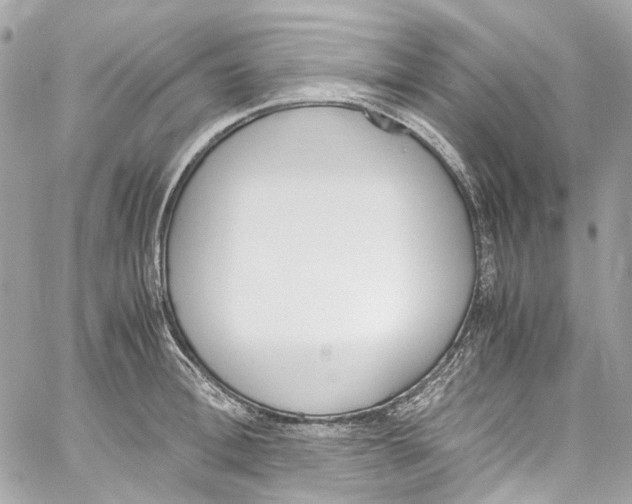 X0000059850996200511181534