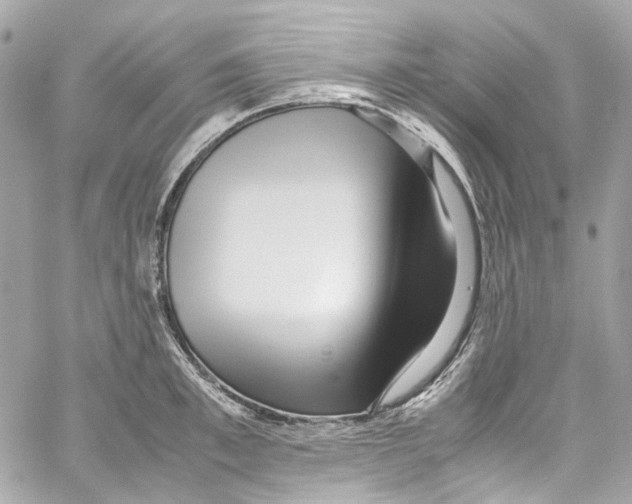 X0000059850997200511181534