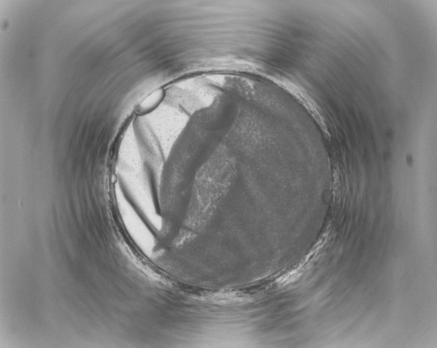 X0000059850998200511181534