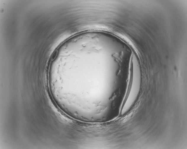 X0000059850999200511181534