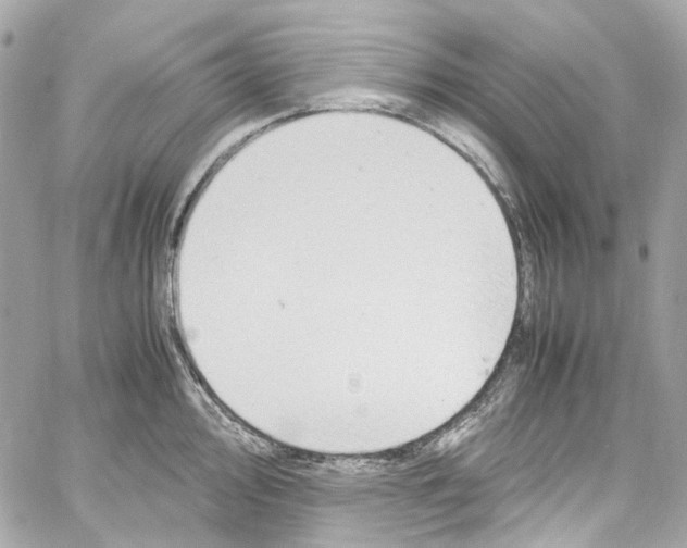 X0000059851000200511181534