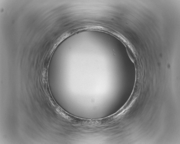 X0000059851001200511181534