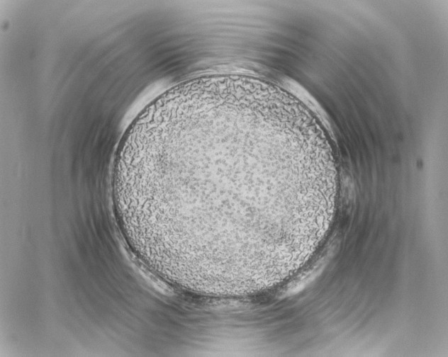 X0000059851002200511181534