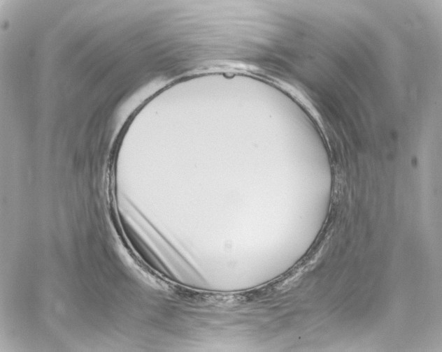 X0000059851003200511181534