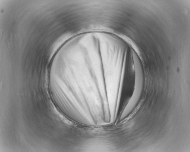 X0000059851006200511181533