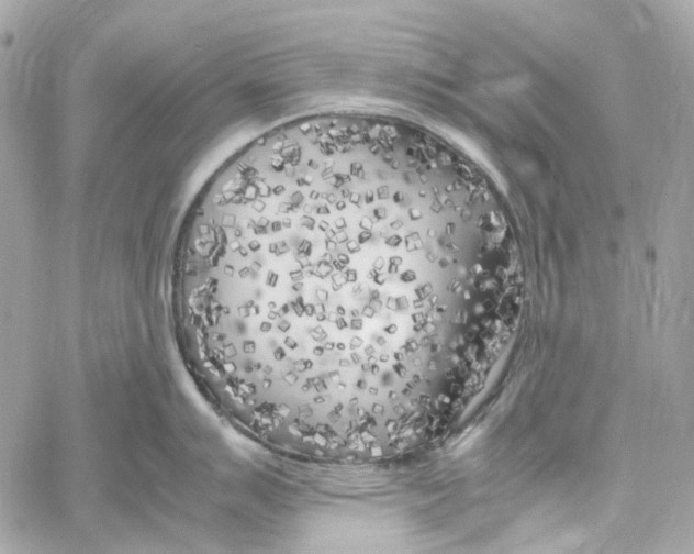 X0000059851007200511181533