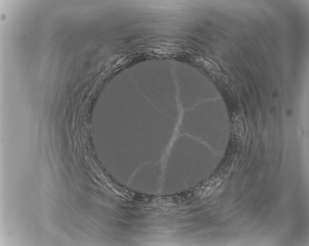 X0000059851009200511181533