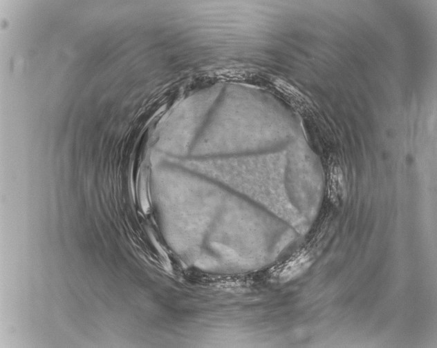 X0000059851010200511181533