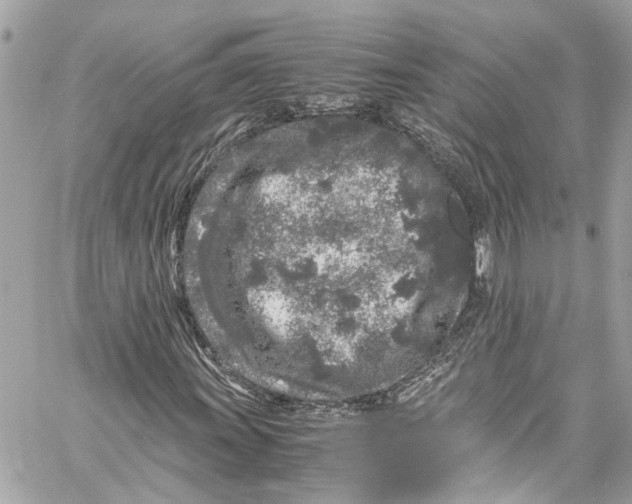 X0000059851011200511181533