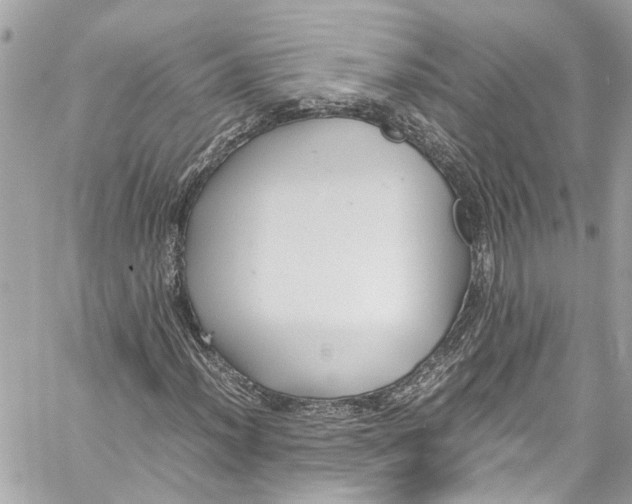 X0000059851012200511181533